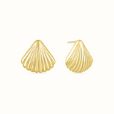 Shell Earrings Gold