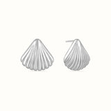 Shell Stud Earrings Silver
