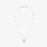 Seashell Necklace Silver